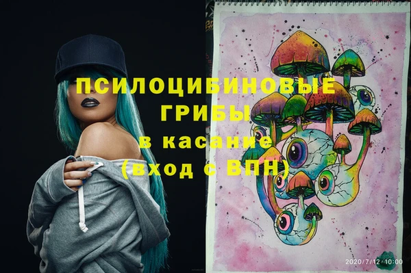 кокаин перу Вяземский
