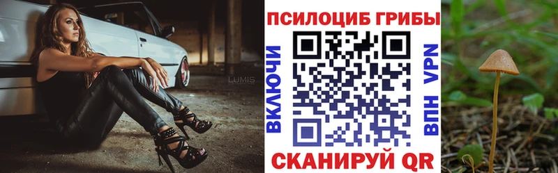 Псилоцибиновые грибы Magic Shrooms купить закладку Костерёво